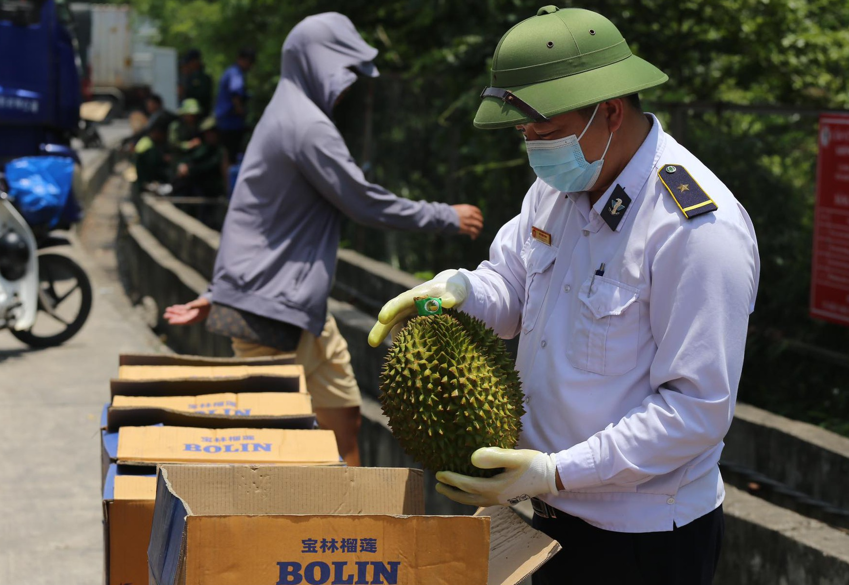 Kiểm dịch sầu riêng xuất khẩu Trung Quốc qua cửa khẩu tại Lạng Sơn