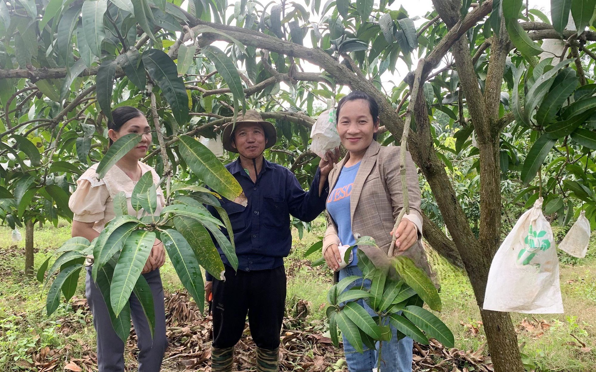 Cán bộ Hội Nông dân xã Phú Riềng tham quan vườn xoài của hộ anh Mai Văn Hòa.